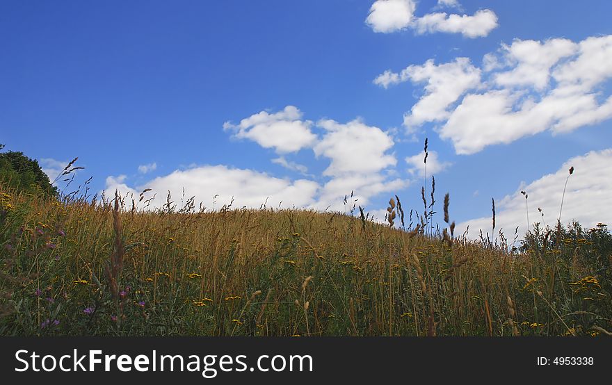 Summer landscape and blue sky