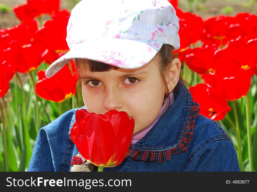 Pretty child smell red tulip. Pretty child smell red tulip