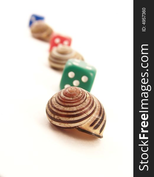 Line Of Snail Shells And Die