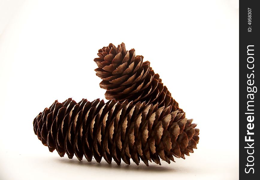 Horizontal image of two pine cones, one laying flat and the other leaning on it. Horizontal image of two pine cones, one laying flat and the other leaning on it.