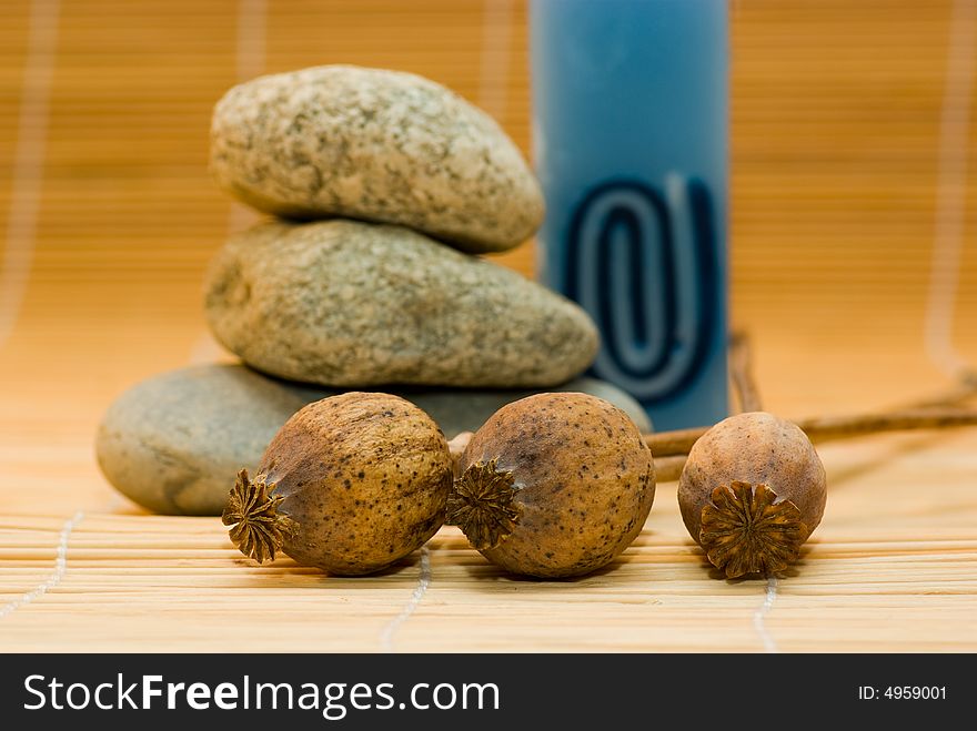 Still life with nut and round stone