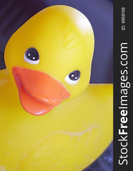 A bright yellow rubber duck toy, shot in portrait style close-up over a dark blue background. A bright yellow rubber duck toy, shot in portrait style close-up over a dark blue background.
