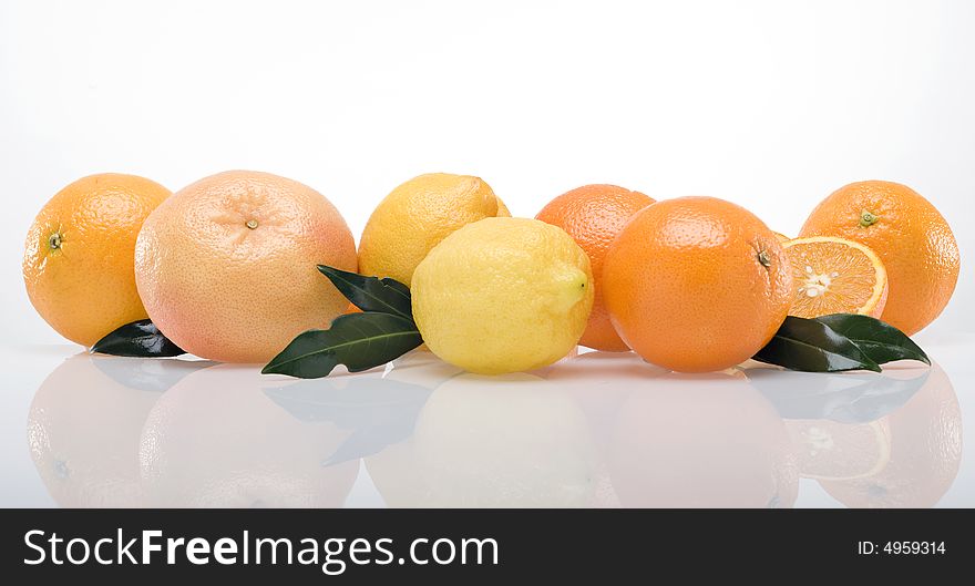 Band of fruits on white background