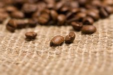 Freshly Roasted Coffee Beans On Sackcloth Stock Images Freshly Roasted Coffee Beans On Sackcloth Stock Images