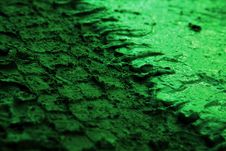 Closeup Of Tire Tracks In The Green Mud Stock Photos Closeup Of Tire Tracks In The Green Mud Stock Photos