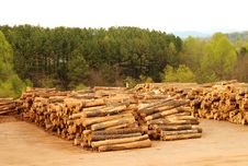 Lumberyard With Stacks Of Logs Stock Photography Lumberyard With Stacks Of Logs Stock Photography