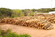 Lumberyard With Stacks Of Logs Royalty Free Stock Photo Lumberyard With Stacks Of Logs Royalty Free Stock Photo