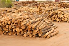 Lumberyard With Stacks Of Logs Stock Images Lumberyard With Stacks Of Logs Stock Images