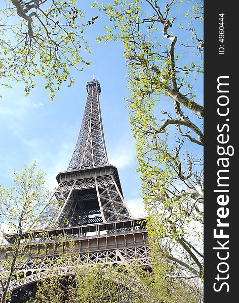 Springtime shot of Paris icon the Eiffel Tower seen from the Champs de Mars. Springtime shot of Paris icon the Eiffel Tower seen from the Champs de Mars