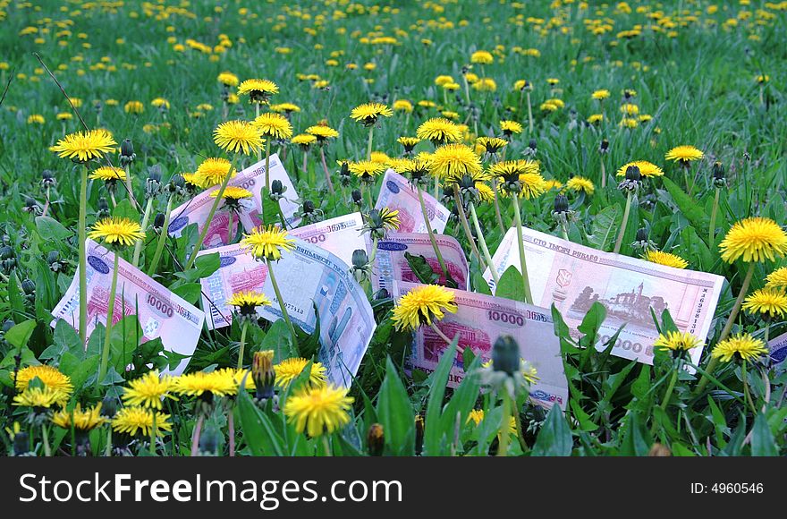 Monetary field in which among dandelions and grasses grow the Belarus monetary.