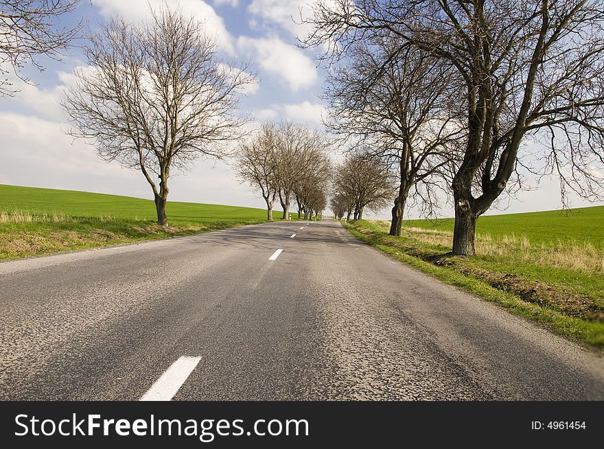 Road with tree alley in countryside with blue sky with clouds