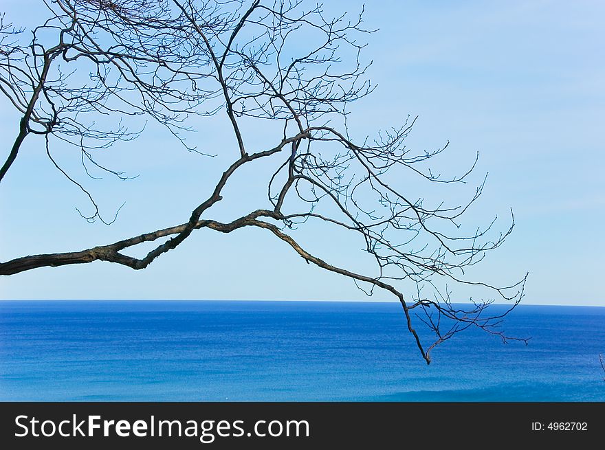 View from top of a cliff over looking a lake with some tree branches in the view. View from top of a cliff over looking a lake with some tree branches in the view