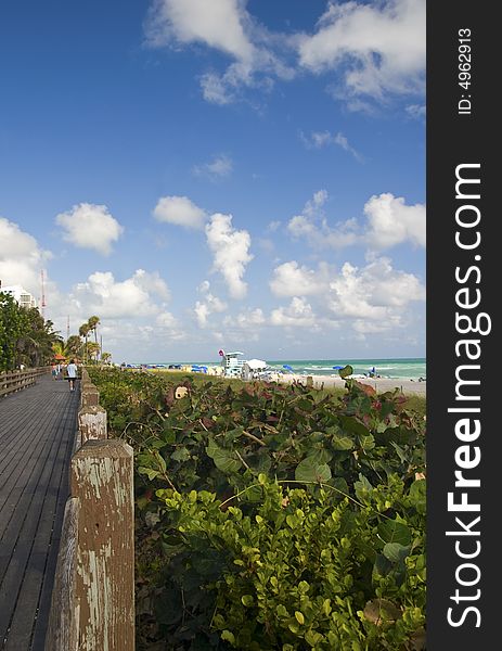 Boardwalk with tourists near vegetation and beach in miami florida, united states. Boardwalk with tourists near vegetation and beach in miami florida, united states