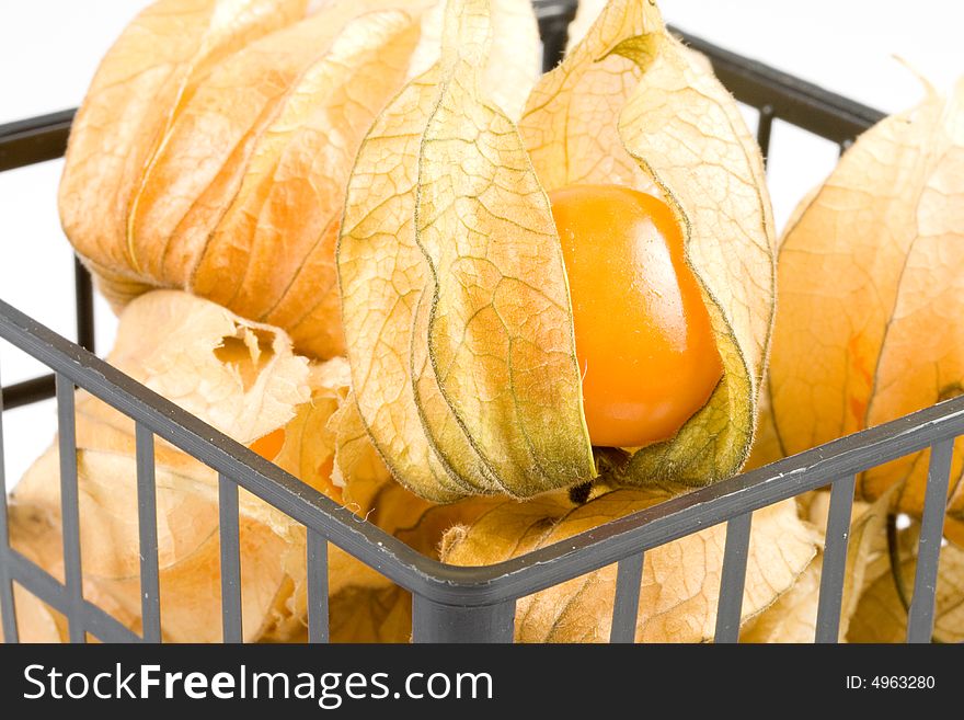 Fresh physalis isolated on a white background