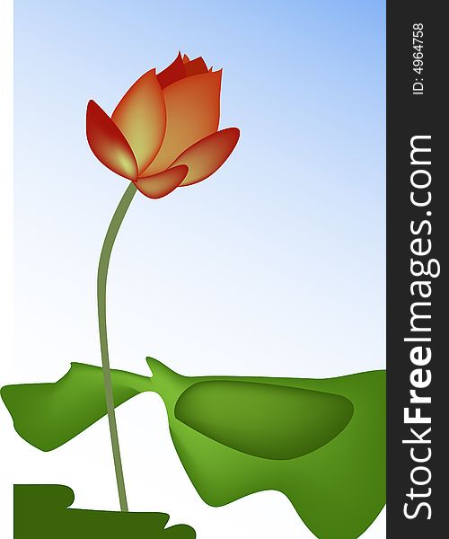 Vector illustration of water lily