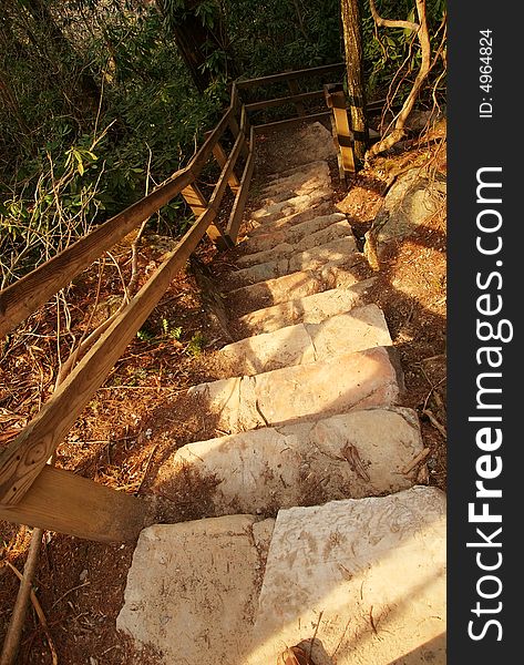 Stair steps in nature forest