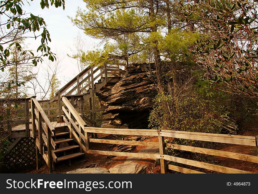 A stair case in the woods that leads downward with a railing. A stair case in the woods that leads downward with a railing.