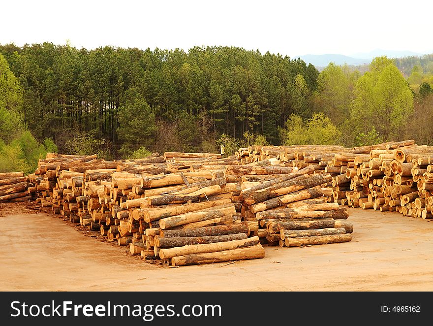 Lumberyard With Stacks Of Logs