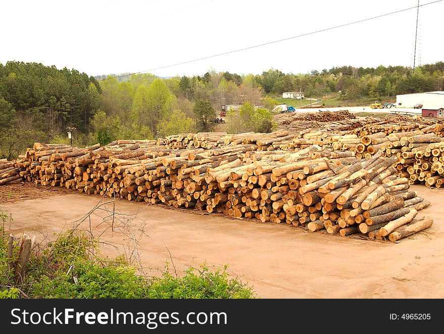 Lumberyard with stacks of logs