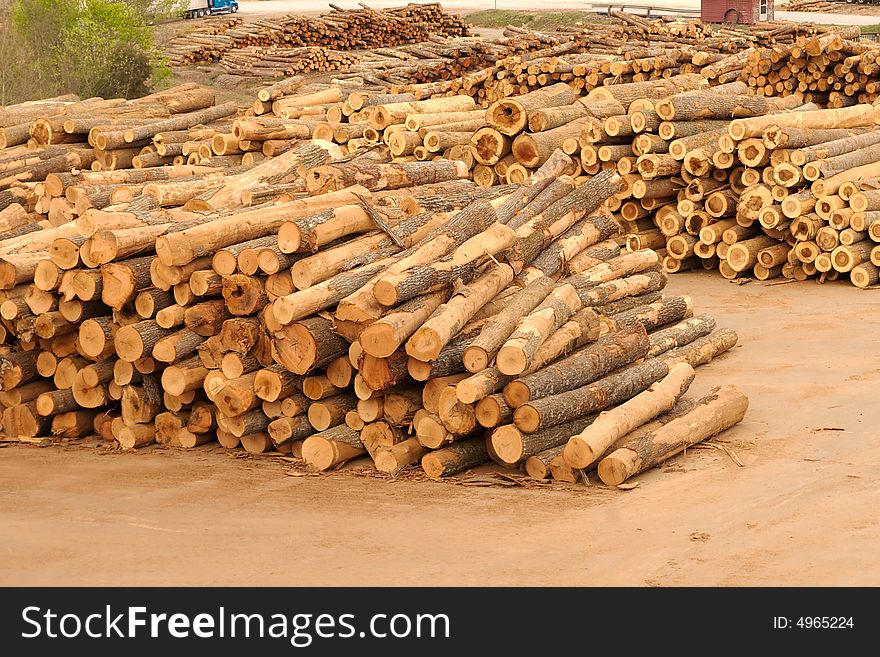 Lumberyard with stacks of logs