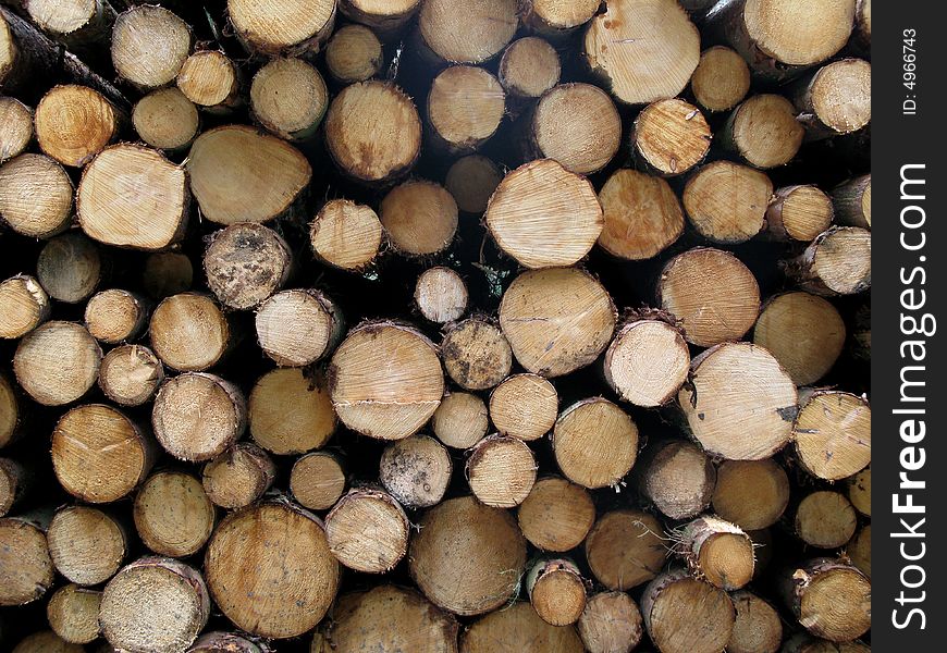 Pile of logs, viewed from the side. Pile of logs, viewed from the side