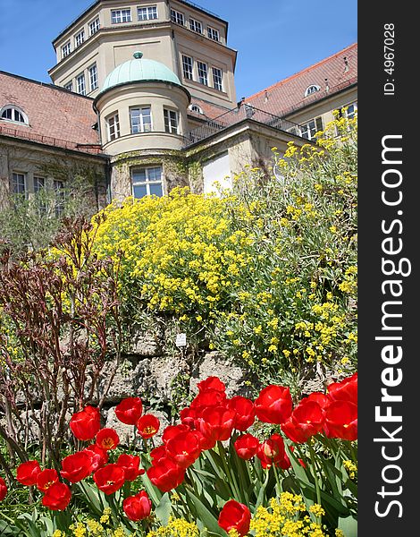 Spring in Botanishen Garten in munich,Germany. Spring in Botanishen Garten in munich,Germany