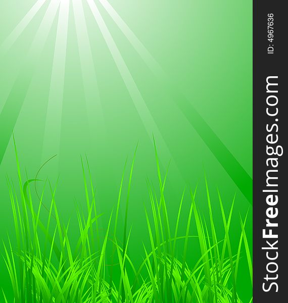 Green grass in the light, vector illustration. Look for more great images in my portfolio.