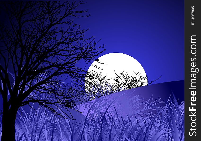 Night landscape, vector illustration. Look for more great images in my portfolio.