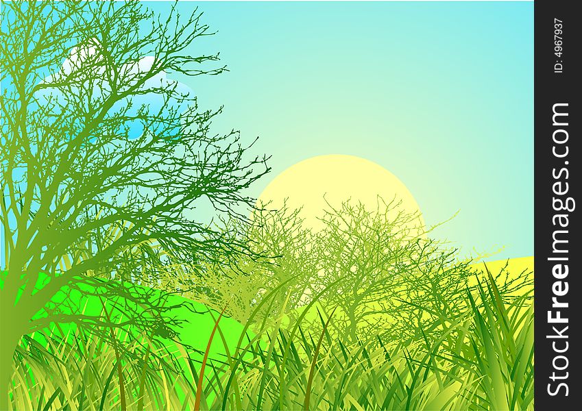 Spring landscape with green grass and blue sky