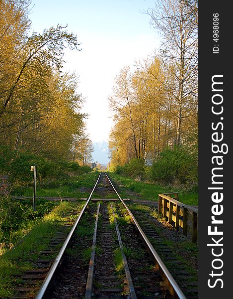 Railway tracks heading north in spring woods. Railway tracks heading north in spring woods