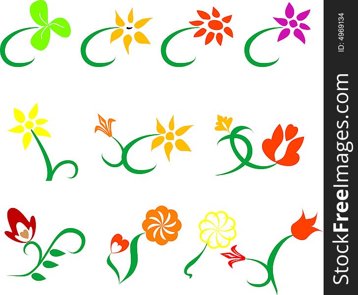 Floral design elements vector illustration