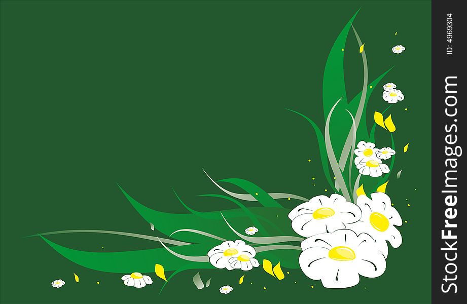 White camomile on the green  abstrackt background. White camomile on the green  abstrackt background