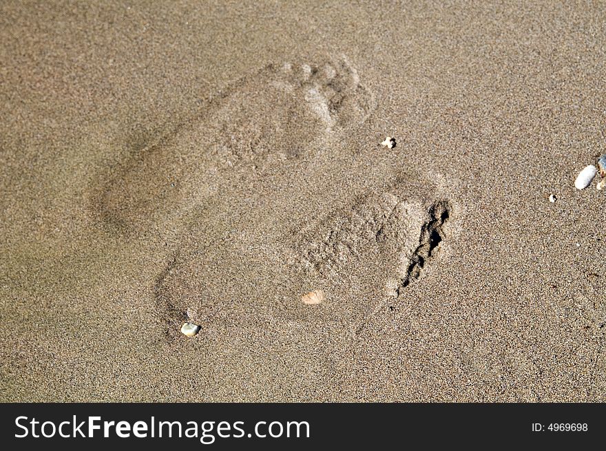 Two footprints on wet sand (holiday background)
