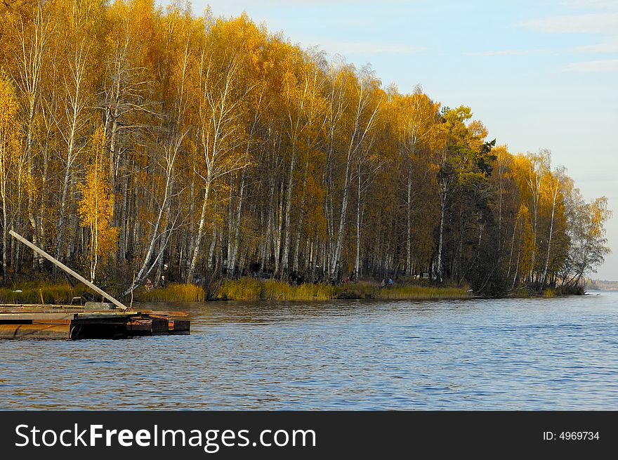View on autumn forest colored yellow at the lake coast
