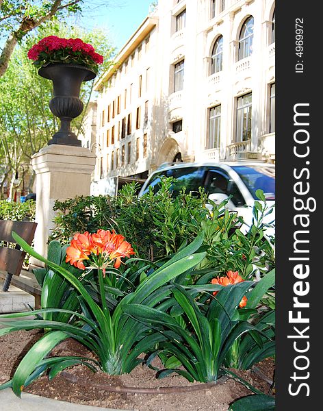 Pedestrian Street In Majorca