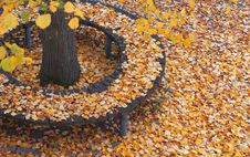 Autumn In The Park Royalty Free Stock Photos Autumn In The Park Royalty Free Stock Photos