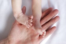 Little Baby Feet Royalty Free Stock Images Little Baby Feet Royalty Free Stock Images