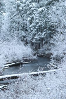 Snowy Creek Stock Photos
