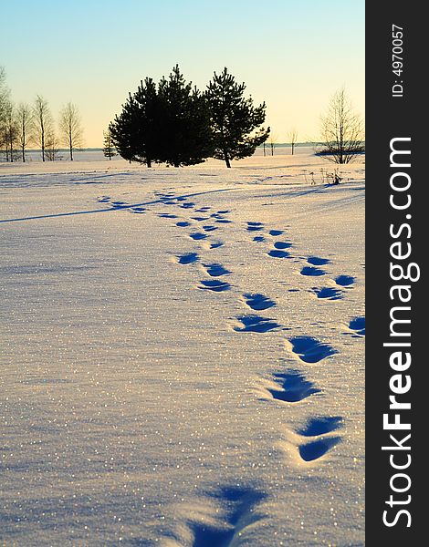 Human foot prints against sunset in snow. Human foot prints against sunset in snow