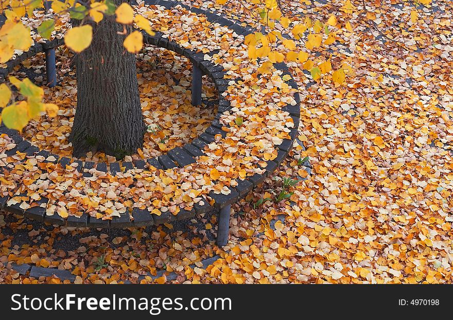 Round bench in the park covered with leaves. Round bench in the park covered with leaves