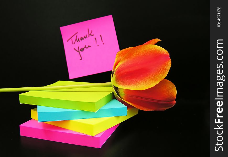 Thank You Message And Red Tulip On Black Background