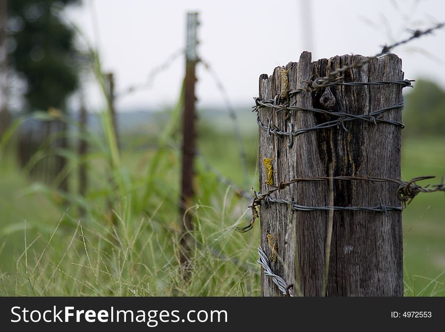 Wooden post wrapped with barbed wire. Wooden post wrapped with barbed wire