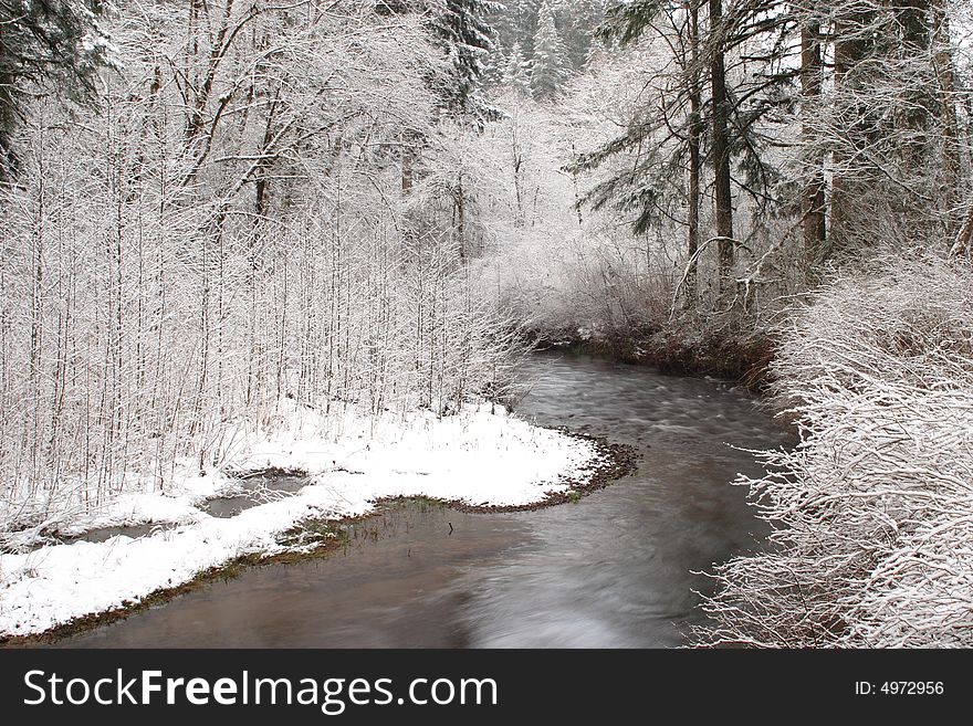 Winter creek scene in Silver Falls State Park. Winter creek scene in Silver Falls State Park