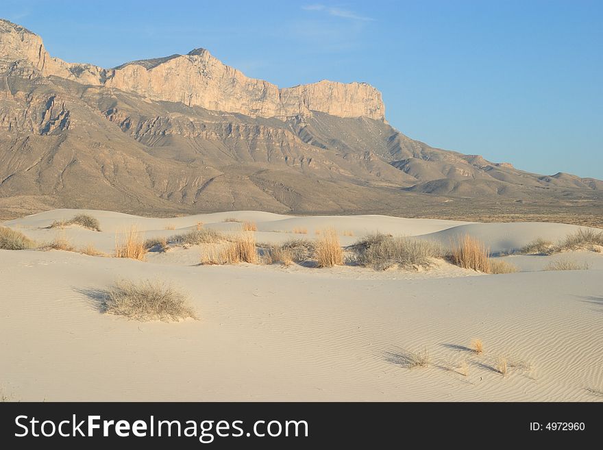 Gypsum sand dunes with El Capitan in the Background - Guadalupe Mountains National Park