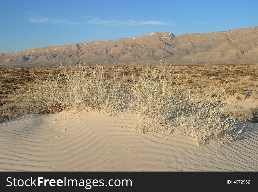 Gypsum sand dunes of Guadalupe Mountains National Park