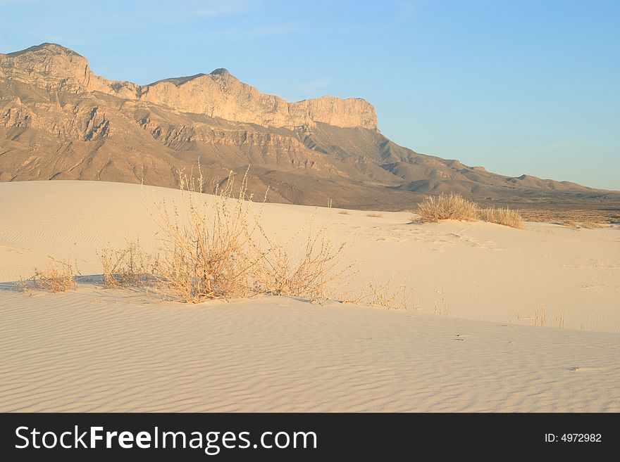 Gypsum sand dunes with El Capitan in the Background - Guadalupe Mountains National Park