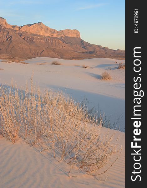 Gypsum sand dunes at sunset with El Capitan in the Background - Guadalupe Mountains National Park. Gypsum sand dunes at sunset with El Capitan in the Background - Guadalupe Mountains National Park