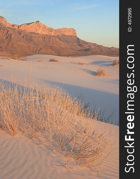 Gypsum sand dunes at sunset with El Capitan in the Background - Guadalupe Mountains National Park. Gypsum sand dunes at sunset with El Capitan in the Background - Guadalupe Mountains National Park