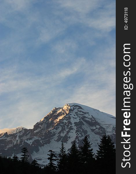 Mount Rainier from Longmire Meadow - Mount Rainier National Park