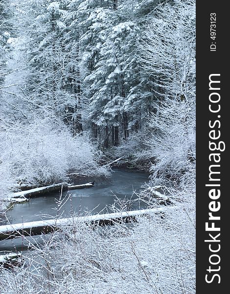 Winter creek scene in Silver Falls State Park. Winter creek scene in Silver Falls State Park